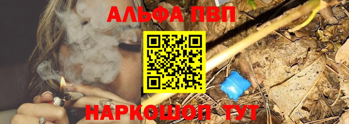 A PVP СК Конаково