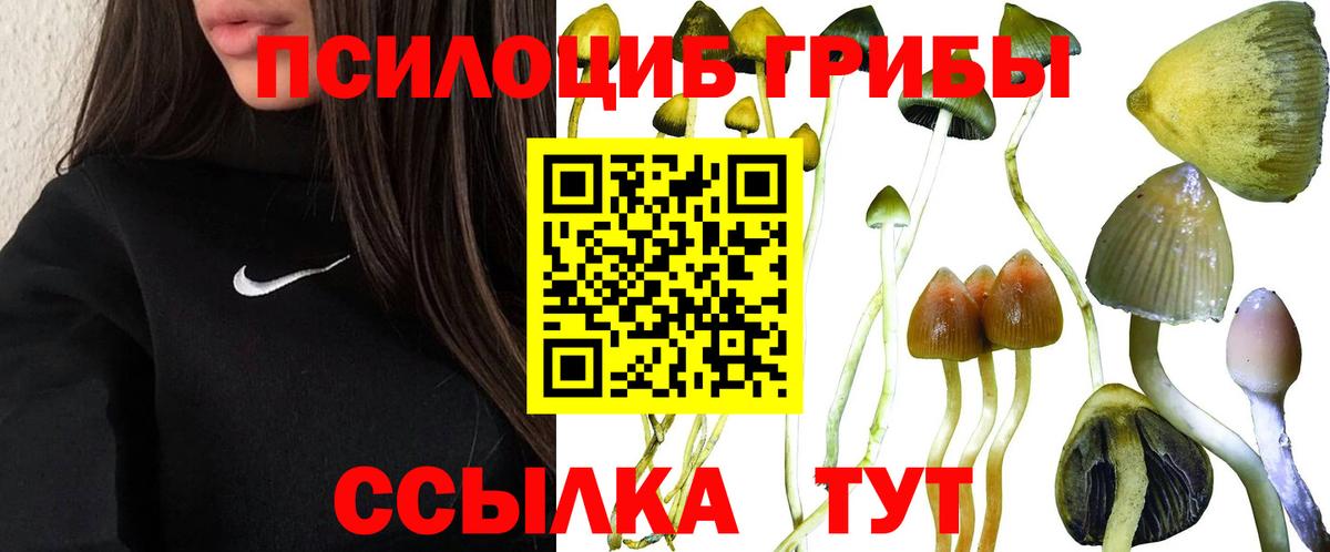 Конаково  Галлюциногенные грибы Psilocybine cubensis  Вход с VPN 